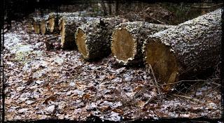 Ça y est, l'hiver est arrivé!