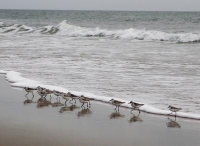 Au pays des ciels en couleurs