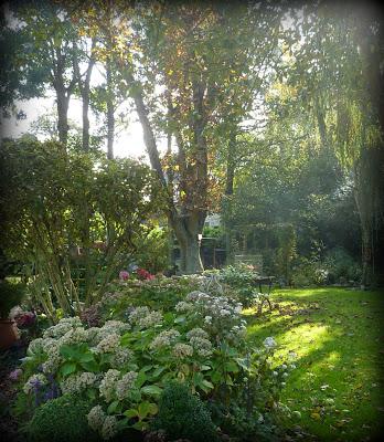 C'est devant l'écran que je me rappelle ce bel après-midi...