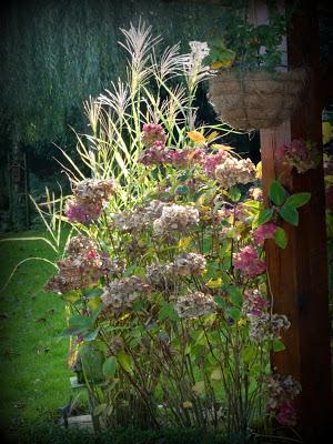 C'est devant l'écran que je me rappelle ce bel après-midi...