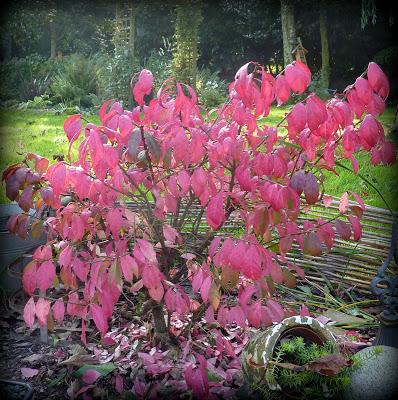 C'est devant l'écran que je me rappelle ce bel après-midi...