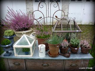 Cette fête des plantes, je l'attend toujours et même si j...