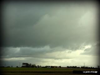 Cette fête des plantes, je l'attend toujours et même si j...