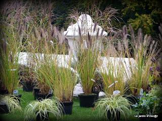 Cette fête des plantes, je l'attend toujours et même si j...