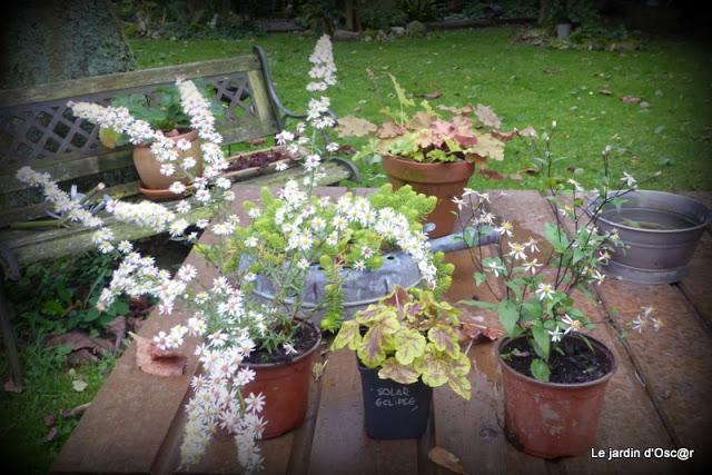 Cette fête des plantes, je l'attend toujours et même si j...
