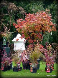 Cette fête des plantes, je l'attend toujours et même si j...