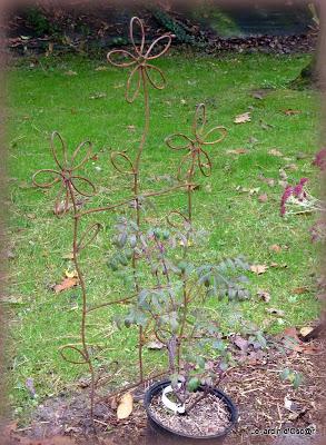 Cette fête des plantes, je l'attend toujours et même si j...