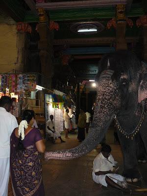 Trouvaille à Madurai