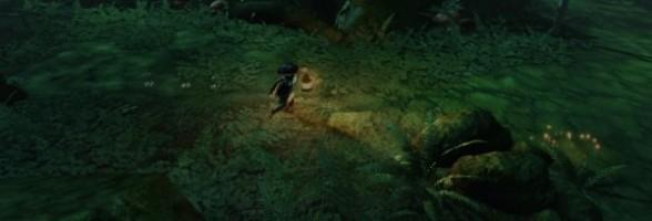 Amnesia Fortnight, le bundle Double-Fine est de sortie.