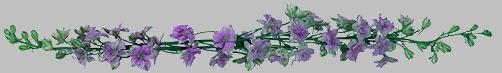 barre-fleurs violette