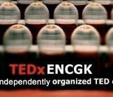 Conférence TED à l'ENCG de Kénitra au Maroc, le 9 février