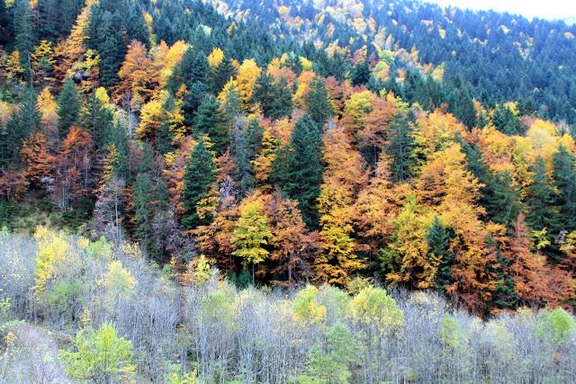 Sonate d'automne dans les Bauges - le Mont Pécloz