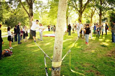 Slackline between the TREES