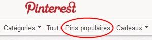 pins populaires