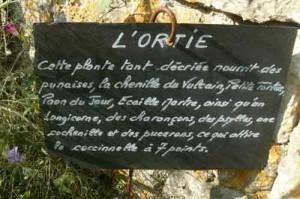 l'ortie a jardin potager de l'abbaye de celles sur belle