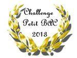 Cool - Don WINSLOW 0 Challenge Petit Bac 2013