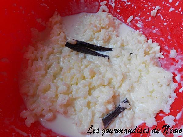 riz-lait-cremeux--2-.JPG