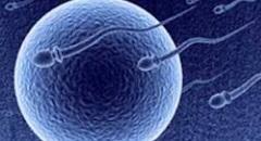 SÉDENTARITÉ: Le temps d’écran en cause dans l’infertilité – British Journal of Sports Medicine