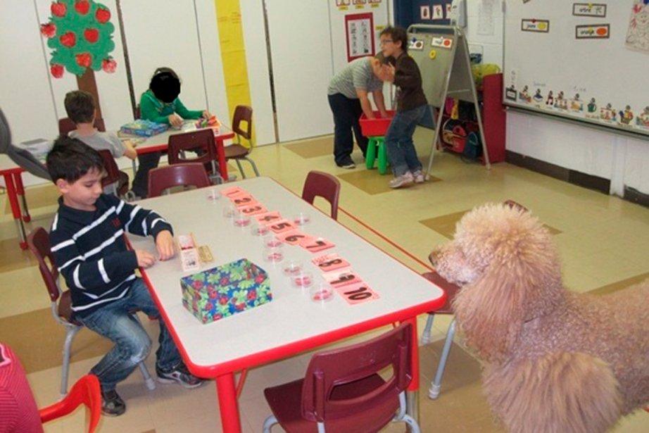 Maho, «l’assistant enseignant»