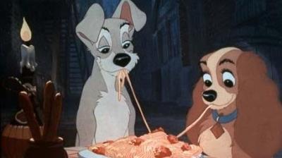 féculents,amidon,sciences,digestion,végétarien,agriculture