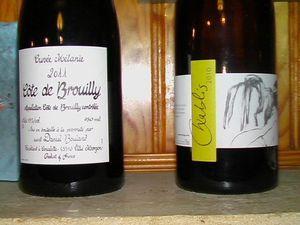 picot_et_brouilly_001