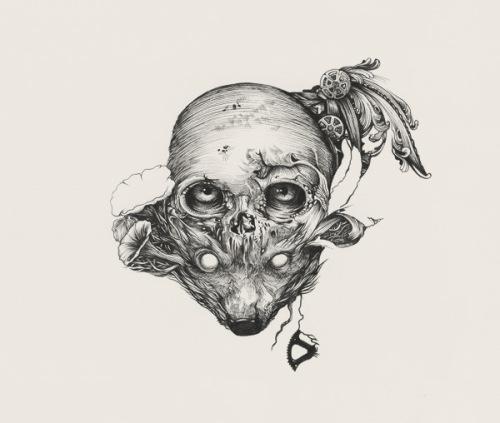DZO_skull