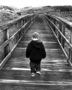 427- Le chemin des vies chemin-de-vie