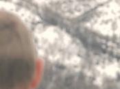 Asaf Avidan Different Pulses