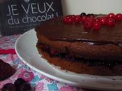Gâteau chocolat-fruits rouges (inspiration Trish Deseine)