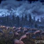 De nouvelles images pour The Witcher 3 : Wild Hunt