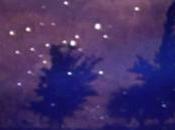 PEGASE ISAAC DELUSION Café danse