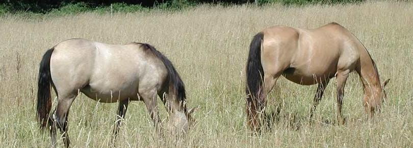 Emporium : Conférence le 8 février