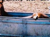 Emporium Conférence février