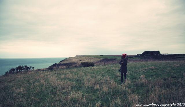 △ ▲ LOOK ON THE CLIFF △ ▲