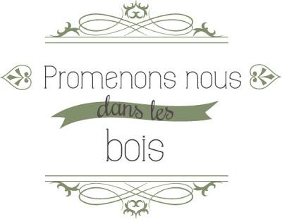 Promenons-nous dans les bois