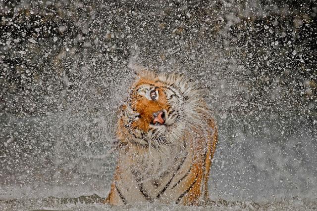 2012 National Geographic Photography Contest Winners - The Big Picture