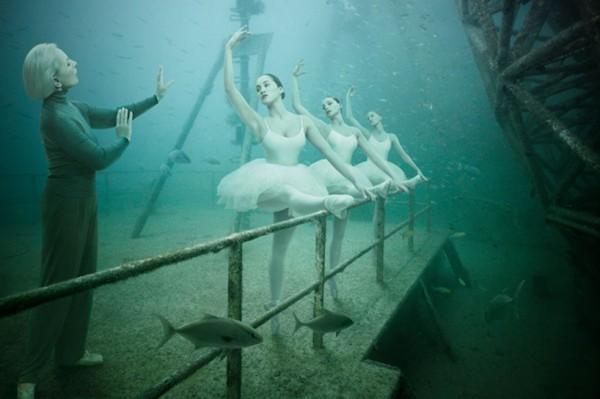 Underwater Art Gallery by Andreas Franke