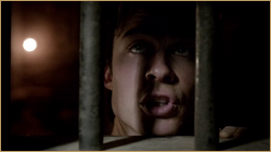 vlcsnap_2013_02_04_22h10m16s60