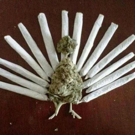 6. Snoop Dogg Instagram: @snoopdogg Snoop's Insta smells dank, but he's no one-trick pony. Boasting almost 2,000 photos, there are pictures of every kind, including some of the funny meme variety. Not to mention a certain classic where a pointy-nosed small dog looks like the infamous stoner. Still, we're gonna show you one of the best ones involving weed.  : snoop lion