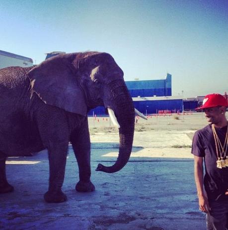 Instagrap photos BIG SEAN