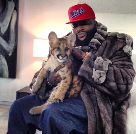 Rick Ross is a hip-hop legend and his Instagram makes the most of that status with crazy amounts of bling tattoos, and art. Yes, you read right, Rick Ross likes to photograph paintings, statues and other fine works that don't pertain to the rap game. Classy. Here's him with a cat that could very well maul him at some point in the future.  : rick ross