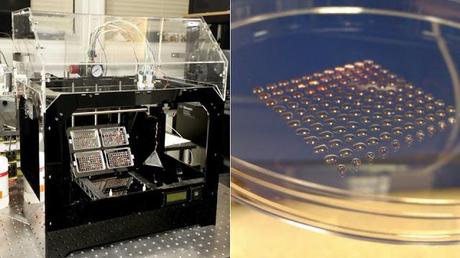 Une imprimante 3D qui utilise des cellules souches