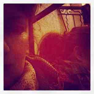 1efc52966fb711e2a3eb22000a1fbdaa_6