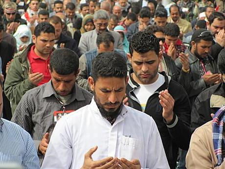 Photos-illustration-2 0618