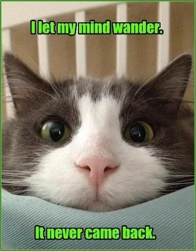 Delphine Batho et le suppositoire vert green lolcat