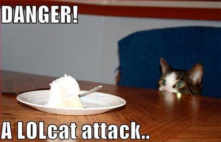 Delphine Batho et le suppositoire vert lolcat attack