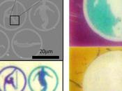 Quand nanotechnologies améliorent couleur écrans
