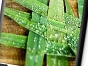 Sharp, SH837W tout nouveau mobile moyenne gamme