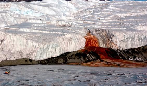 Le Saviez-vous ► Le glacier aux cascades de sang