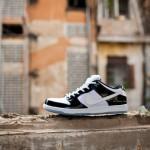 Nike SB Dunk Low Concord concord-nike-sb-dunk-low-4